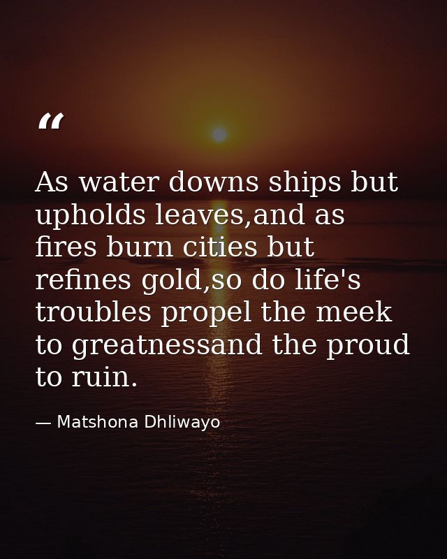 As water downs ships but upholds leaves,and as fires burn cities but refines gold,so do life's troubles propel the meek  — Matshona Dhliwayo