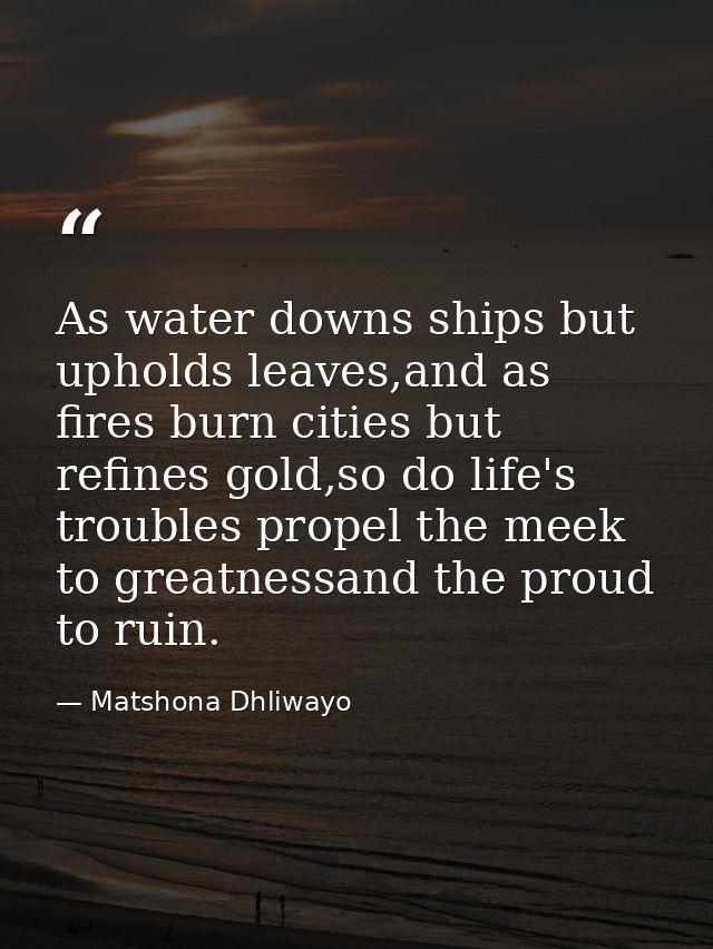 As water downs ships but upholds leaves,and as fires burn cities but refines gold,so do life's troubles propel the meek  — Matshona Dhliwayo