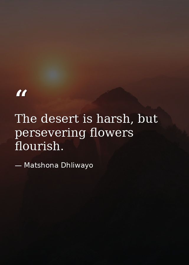 The desert is harsh, but persevering flowers flourish. — Matshona Dhliwayo