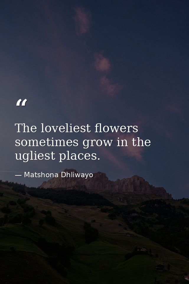The loveliest flowers sometimes grow in the ugliest places. — Matshona Dhliwayo