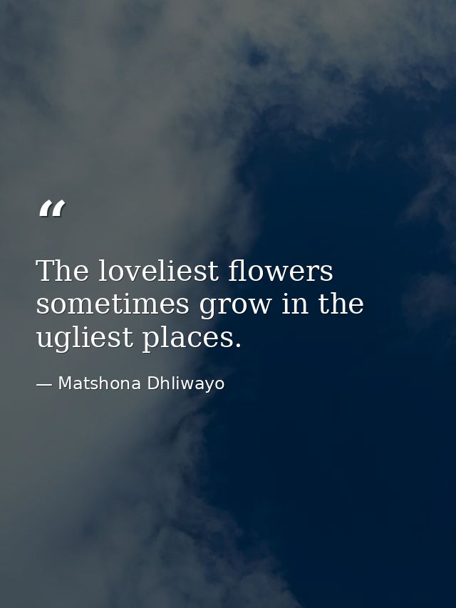 The loveliest flowers sometimes grow in the ugliest places. — Matshona Dhliwayo