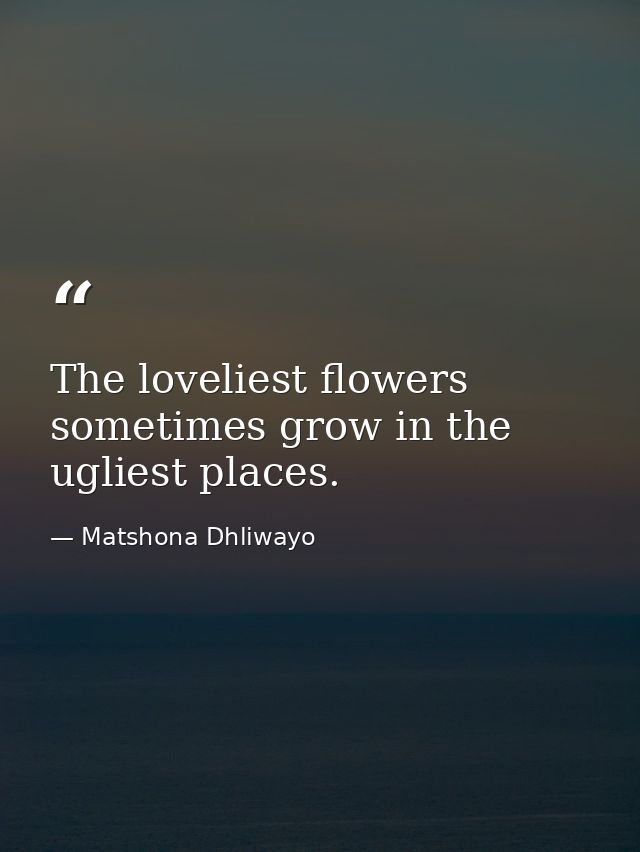The loveliest flowers sometimes grow in the ugliest places. — Matshona Dhliwayo