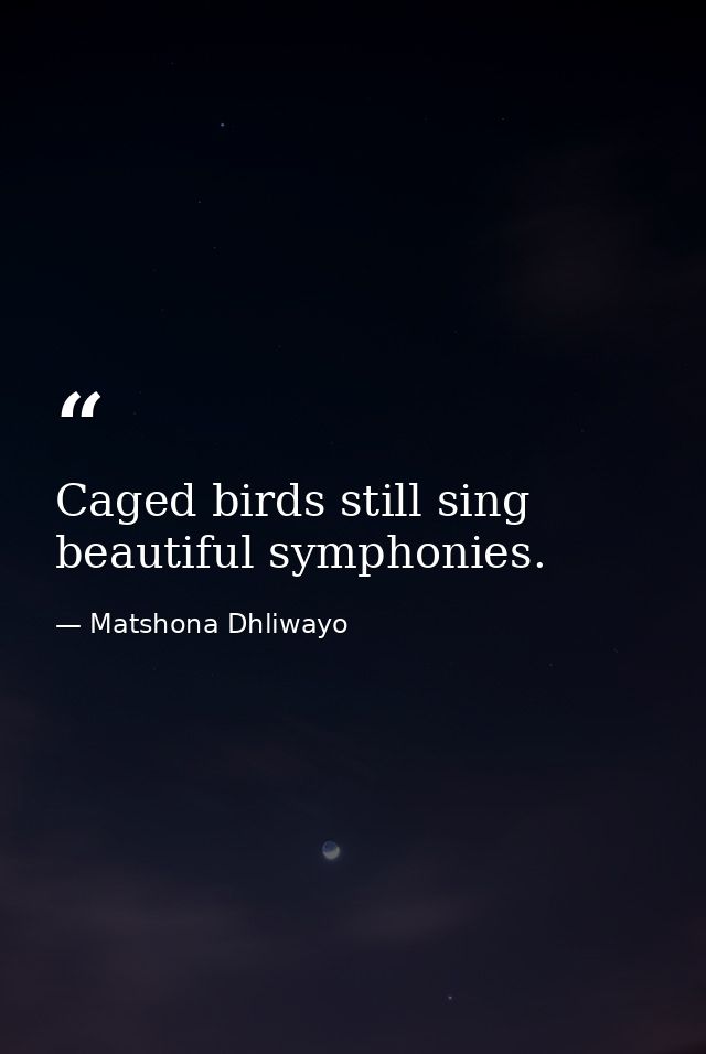 Caged birds still sing beautiful symphonies. — Matshona Dhliwayo