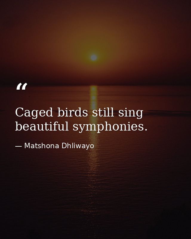 Caged birds still sing beautiful symphonies. — Matshona Dhliwayo