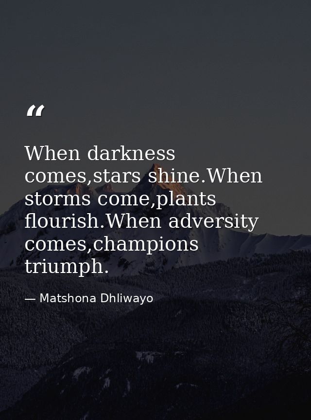 When darkness comes,stars shine.When storms come,plants flourish.When adversity comes,champions triumph. — Matshona Dhliwayo