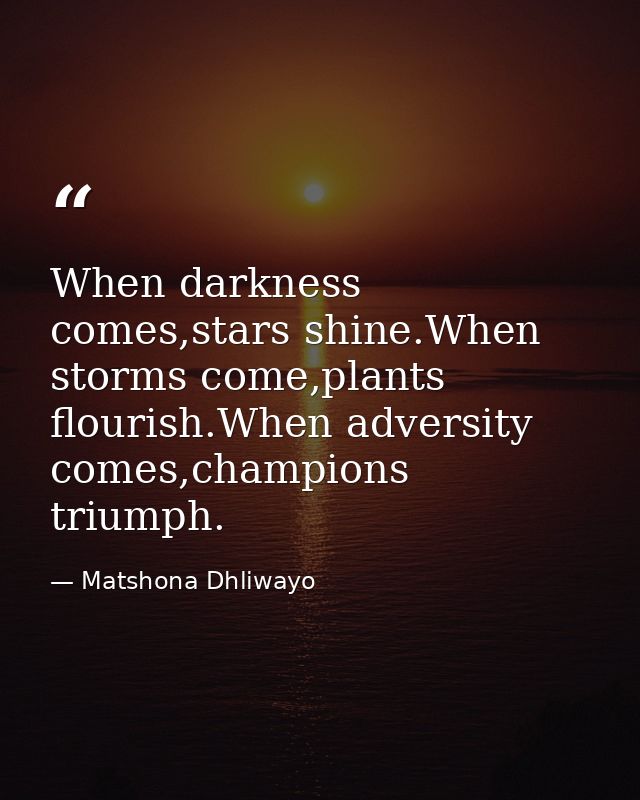 When darkness comes,stars shine.When storms come,plants flourish.When adversity comes,champions triumph. — Matshona Dhliwayo