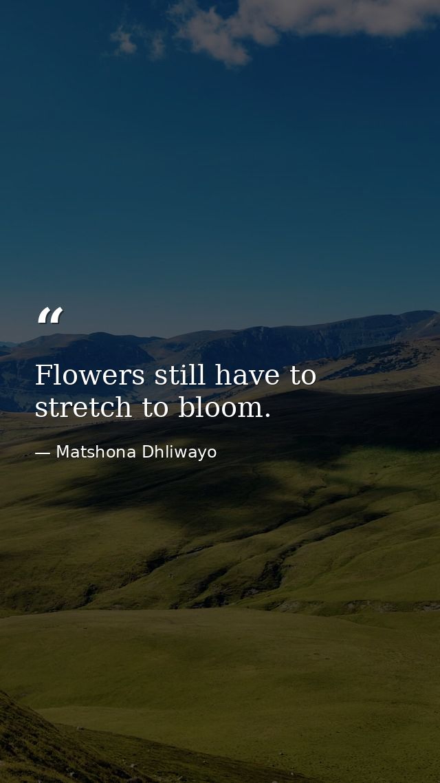 Flowers still have to stretch to bloom. — Matshona Dhliwayo