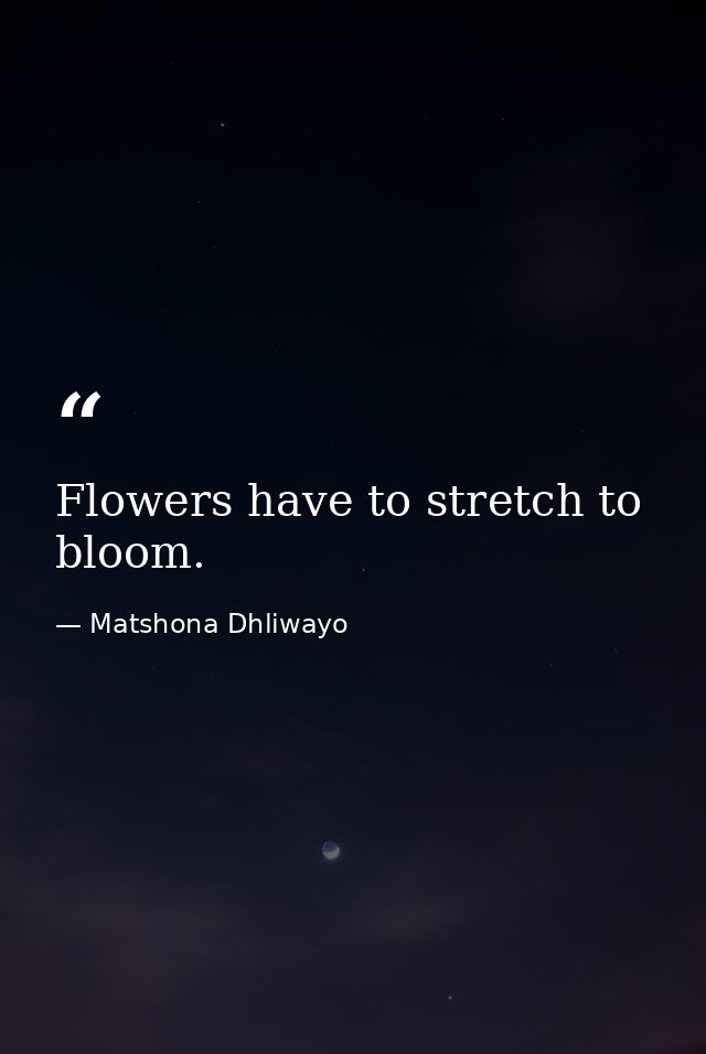 Flowers have to stretch to bloom. — Matshona Dhliwayo