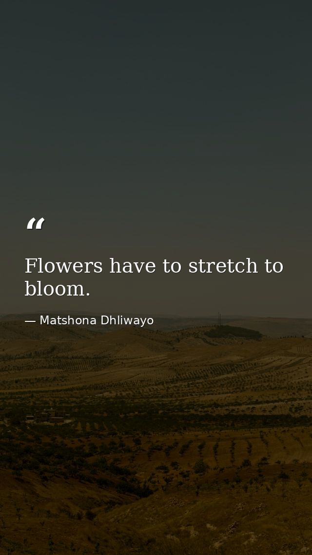 Flowers have to stretch to bloom. — Matshona Dhliwayo