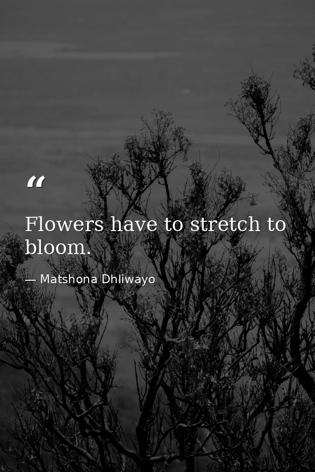 Flowers have to stretch to bloom. — Matshona Dhliwayo