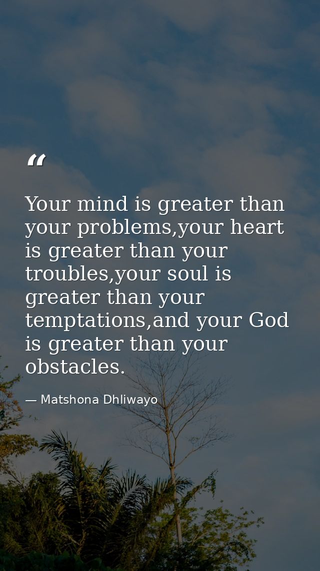 Your mind is greater than your problems,your heart is greater than your troubles,your soul is greater than your temptati — Matshona Dhliwayo