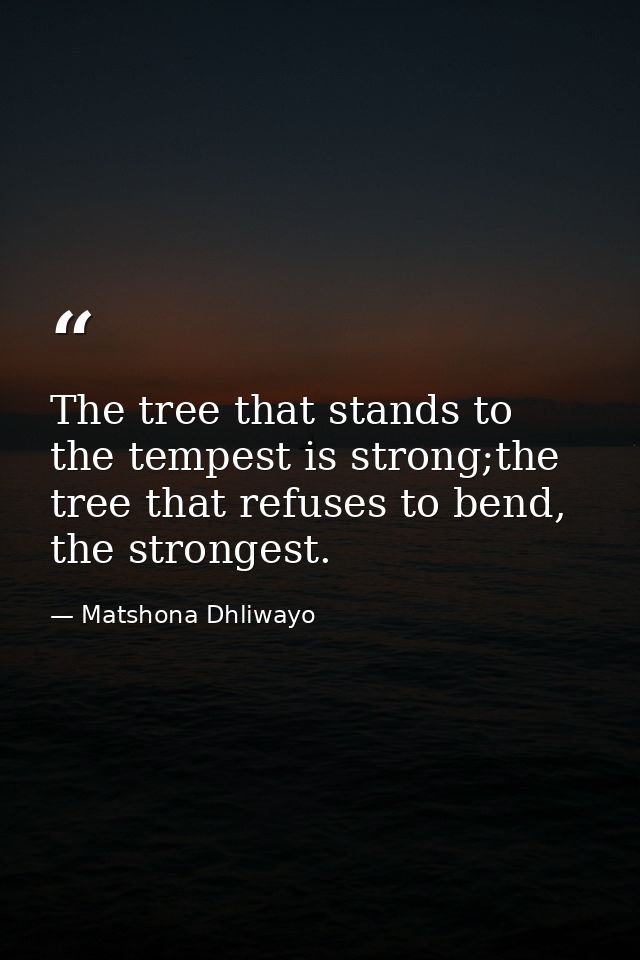 The tree that stands to the tempest is strong;the tree that refuses to bend, the strongest. — Matshona Dhliwayo