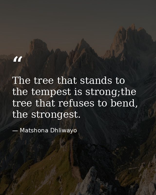 The tree that stands to the tempest is strong;the tree that refuses to bend, the strongest. — Matshona Dhliwayo