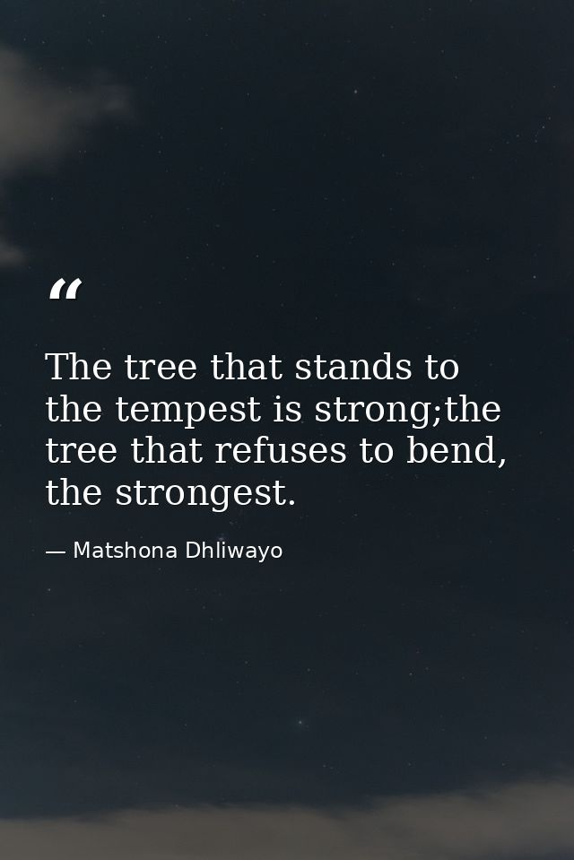 The tree that stands to the tempest is strong;the tree that refuses to bend, the strongest. — Matshona Dhliwayo