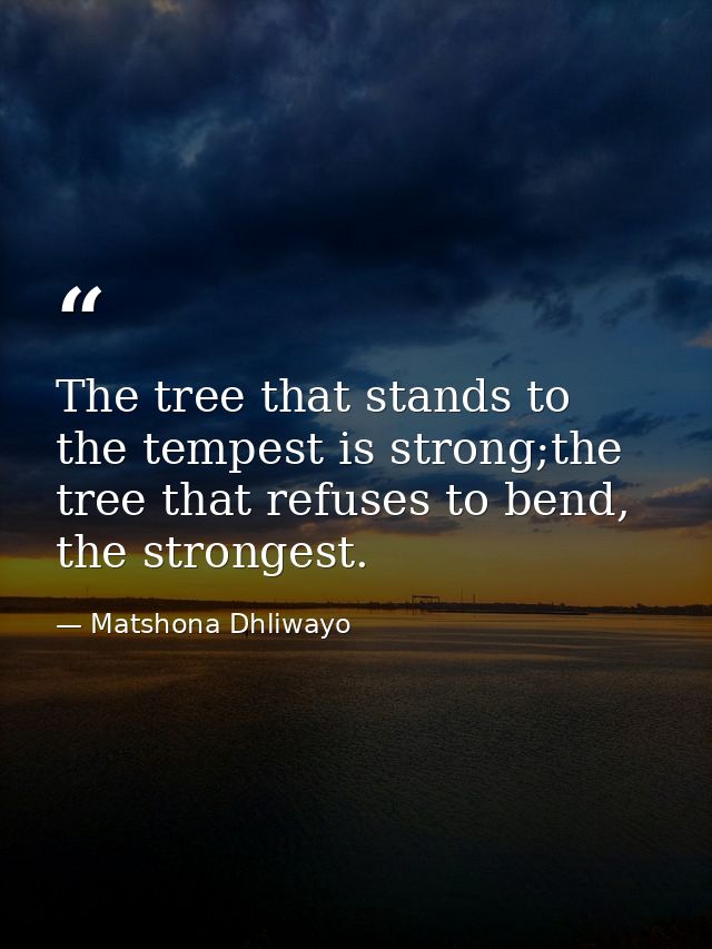The tree that stands to the tempest is strong;the tree that refuses to bend, the strongest. — Matshona Dhliwayo
