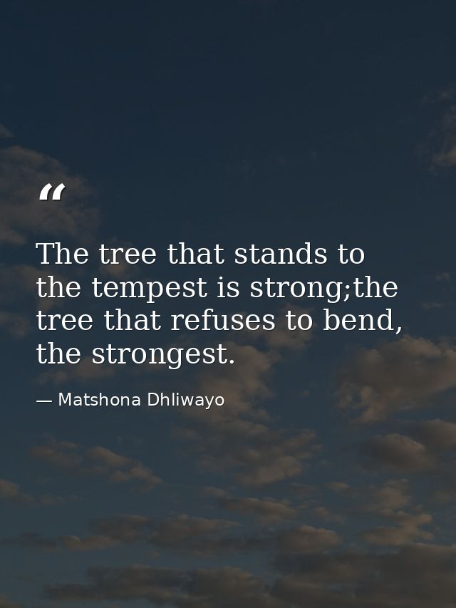 The tree that stands to the tempest is strong;the tree that refuses to bend, the strongest. — Matshona Dhliwayo