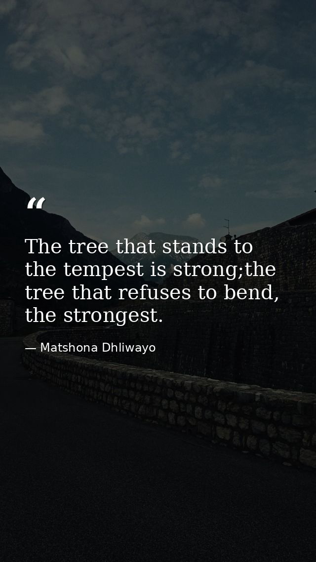 The tree that stands to the tempest is strong;the tree that refuses to bend, the strongest. — Matshona Dhliwayo