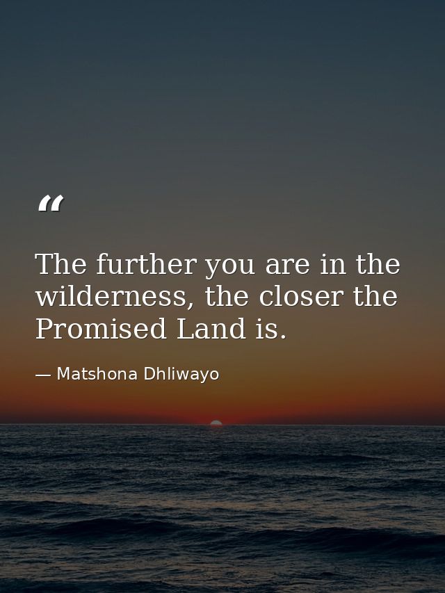 The further you are in the wilderness, the closer the Promised Land is. — Matshona Dhliwayo