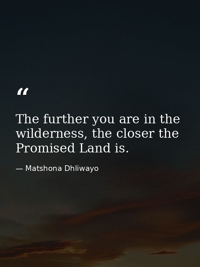 The further you are in the wilderness, the closer the Promised Land is. — Matshona Dhliwayo