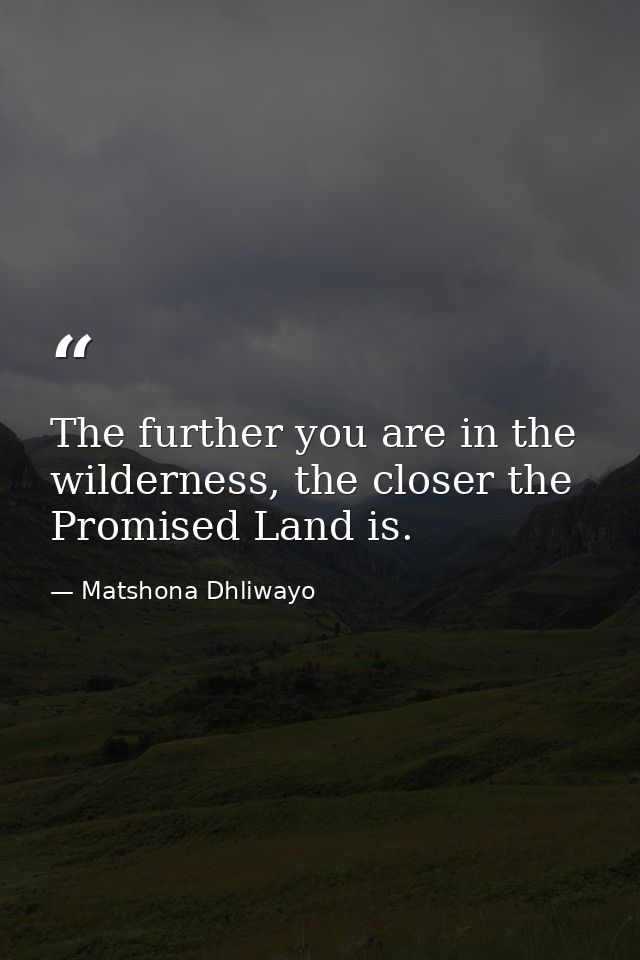 The further you are in the wilderness, the closer the Promised Land is. — Matshona Dhliwayo