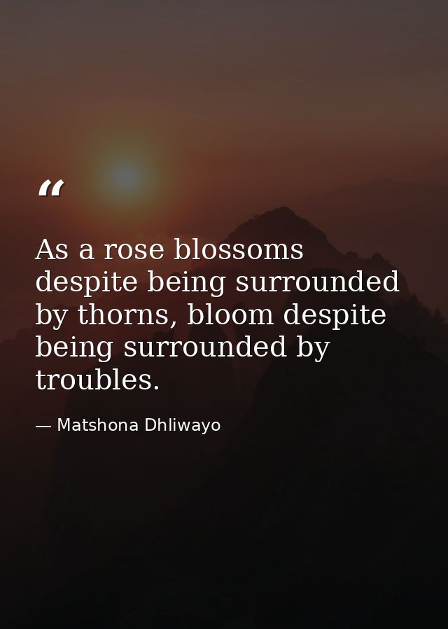 As a rose blossoms despite being surrounded by thorns, bloom despite being surrounded by troubles. — Matshona Dhliwayo