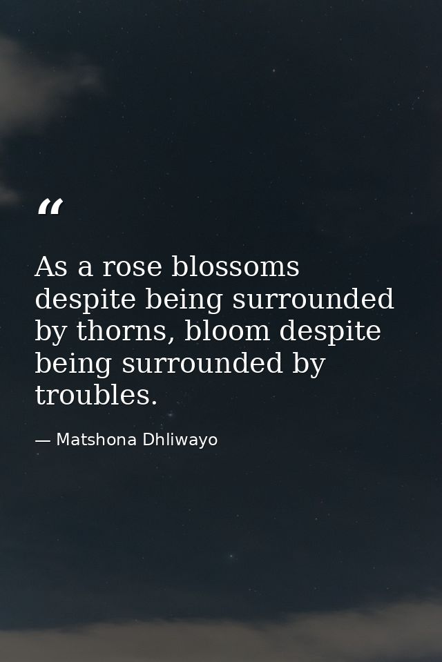 As a rose blossoms despite being surrounded by thorns, bloom despite being surrounded by troubles. — Matshona Dhliwayo