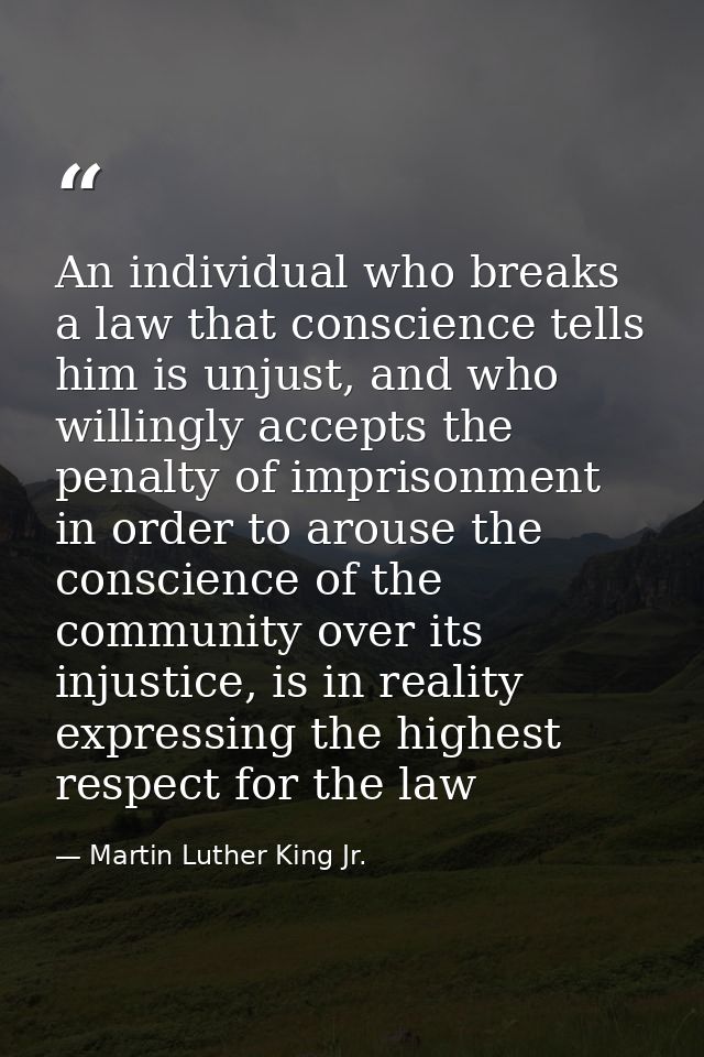 An individual who breaks a law that conscience tells him is unjust, and who willingly accepts the penalty of imprisonmen — Martin Luther King Jr.