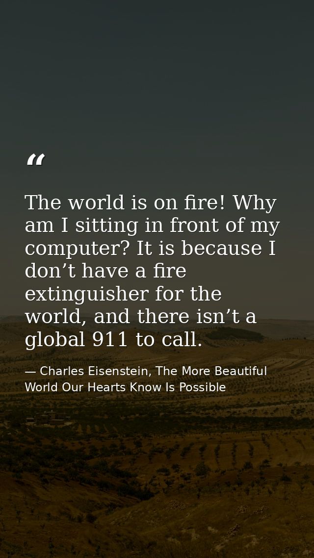 The world is on fire! Why am I sitting in front of my computer? It is because I don’t have a fire extinguisher for the w — Charles Eisenstein, The More Beautiful World Our Hearts Know Is Possible