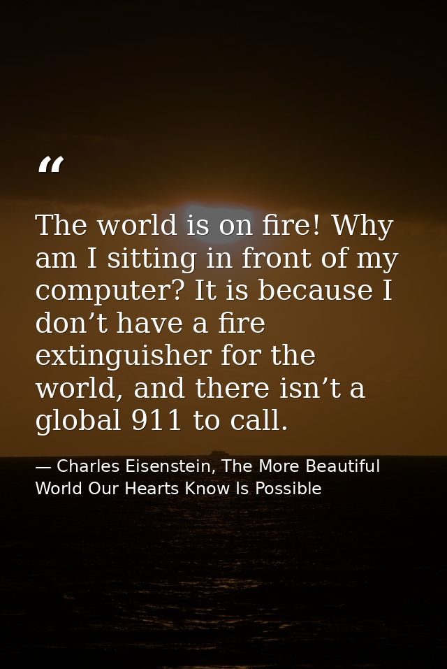 The world is on fire! Why am I sitting in front of my computer? It is because I don’t have a fire extinguisher for the w — Charles Eisenstein, The More Beautiful World Our Hearts Know Is Possible