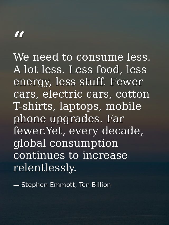 We need to consume less. A lot less. Less food, less energy, less stuff. Fewer cars, electric cars, cotton T-shirts, lap — Stephen Emmott, Ten Billion