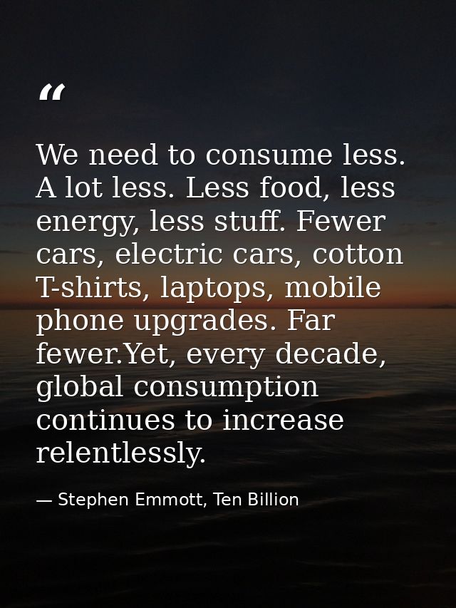 We need to consume less. A lot less. Less food, less energy, less stuff. Fewer cars, electric cars, cotton T-shirts, lap — Stephen Emmott, Ten Billion