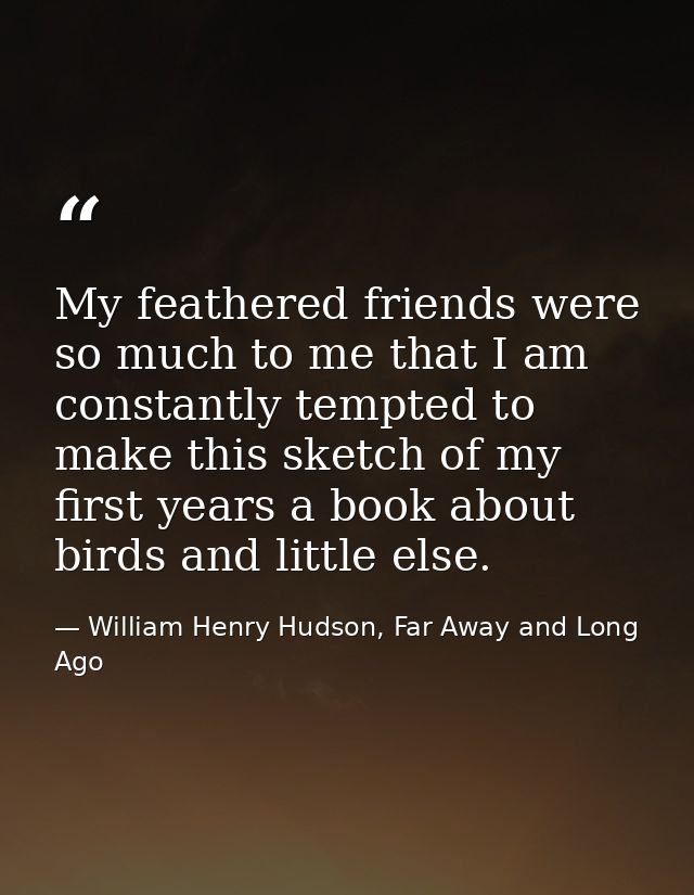 My feathered friends were so much to me that I am constantly tempted to make this sketch of my first years a book about  — William Henry Hudson, Far Away and Long Ago