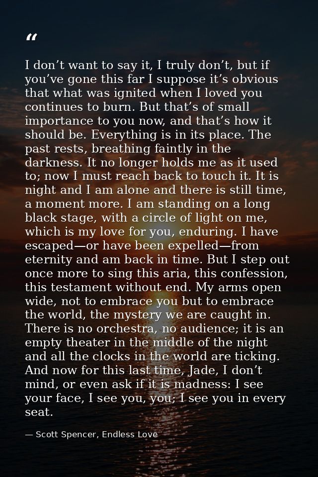 I don’t want to say it, I truly don’t, but if you’ve gone this far I suppose it’s obvious that what was ignited when I l — Scott Spencer, Endless Love