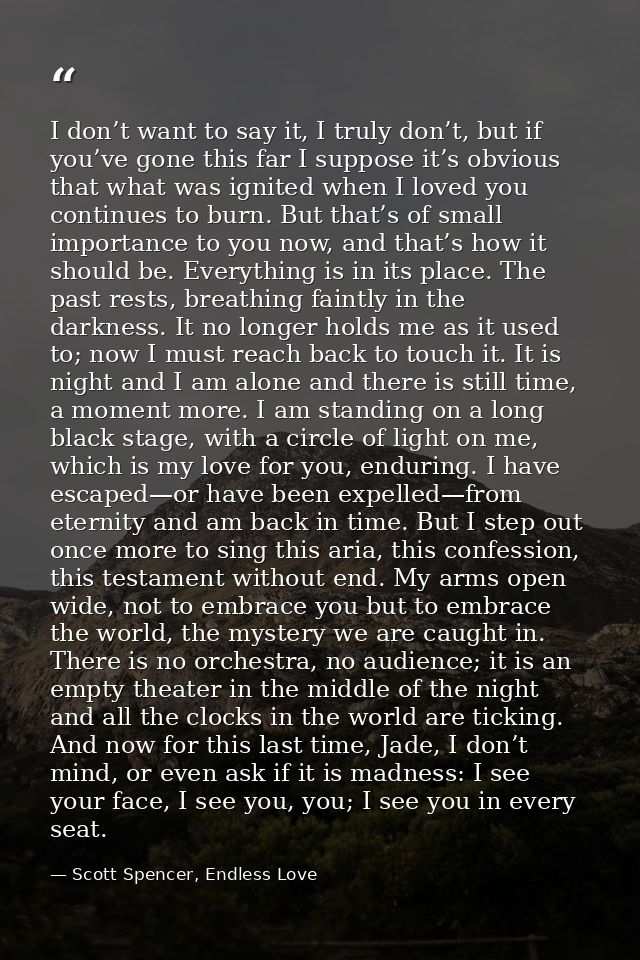I don’t want to say it, I truly don’t, but if you’ve gone this far I suppose it’s obvious that what was ignited when I l — Scott Spencer, Endless Love