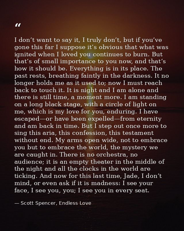 I don’t want to say it, I truly don’t, but if you’ve gone this far I suppose it’s obvious that what was ignited when I l — Scott Spencer, Endless Love