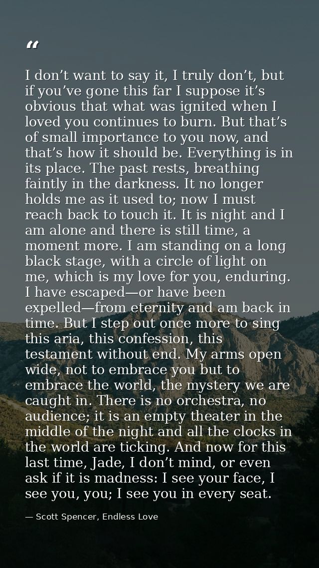 I don’t want to say it, I truly don’t, but if you’ve gone this far I suppose it’s obvious that what was ignited when I l — Scott Spencer, Endless Love