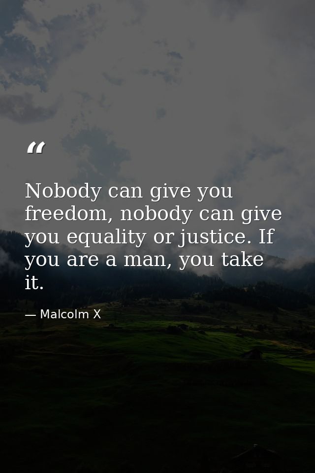 Nobody can give you freedom, nobody can give you equality or justice. If you are a man, you take it. — Malcolm X