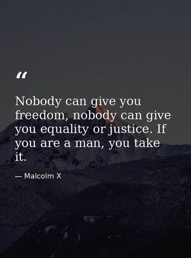 Nobody can give you freedom, nobody can give you equality or justice. If you are a man, you take it. — Malcolm X