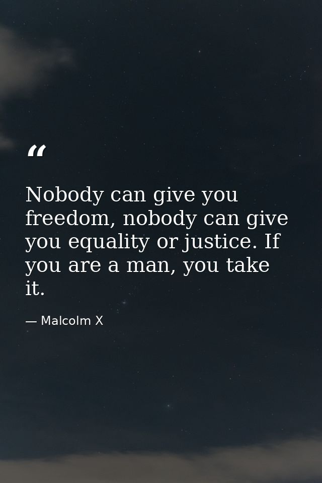 Nobody can give you freedom, nobody can give you equality or justice. If you are a man, you take it. — Malcolm X