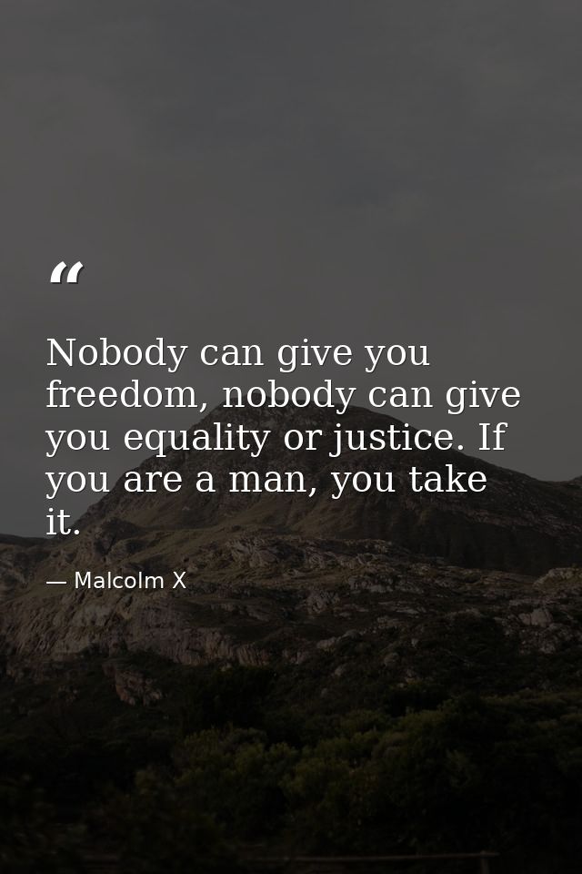 Nobody can give you freedom, nobody can give you equality or justice. If you are a man, you take it. — Malcolm X