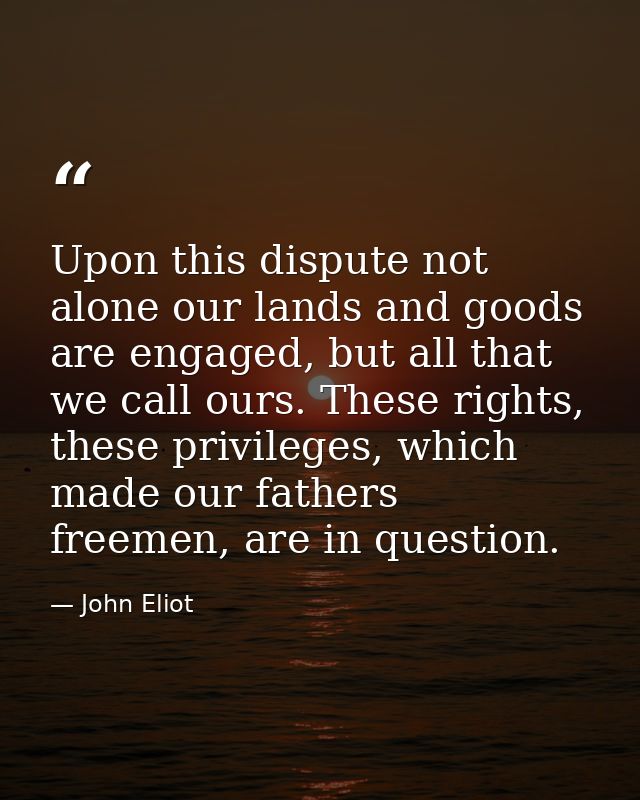Upon this dispute not alone our lands and goods are engaged, but all that we call ours. These rights, these privileges,  — John Eliot