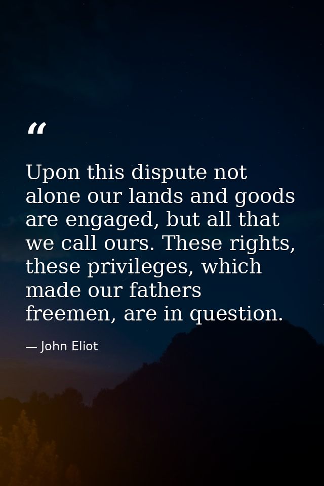 Upon this dispute not alone our lands and goods are engaged, but all that we call ours. These rights, these privileges,  — John Eliot