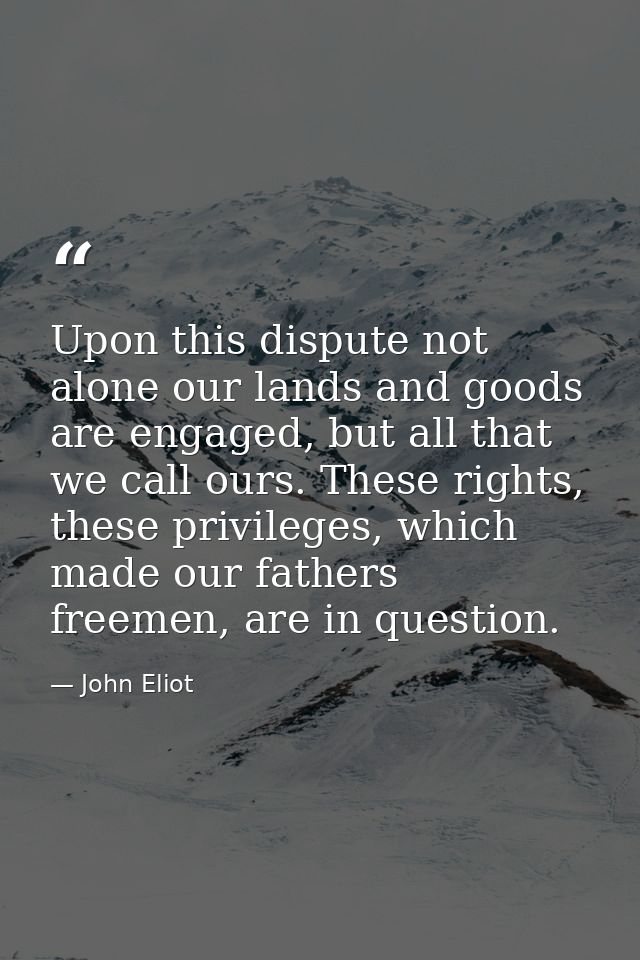 Upon this dispute not alone our lands and goods are engaged, but all that we call ours. These rights, these privileges,  — John Eliot