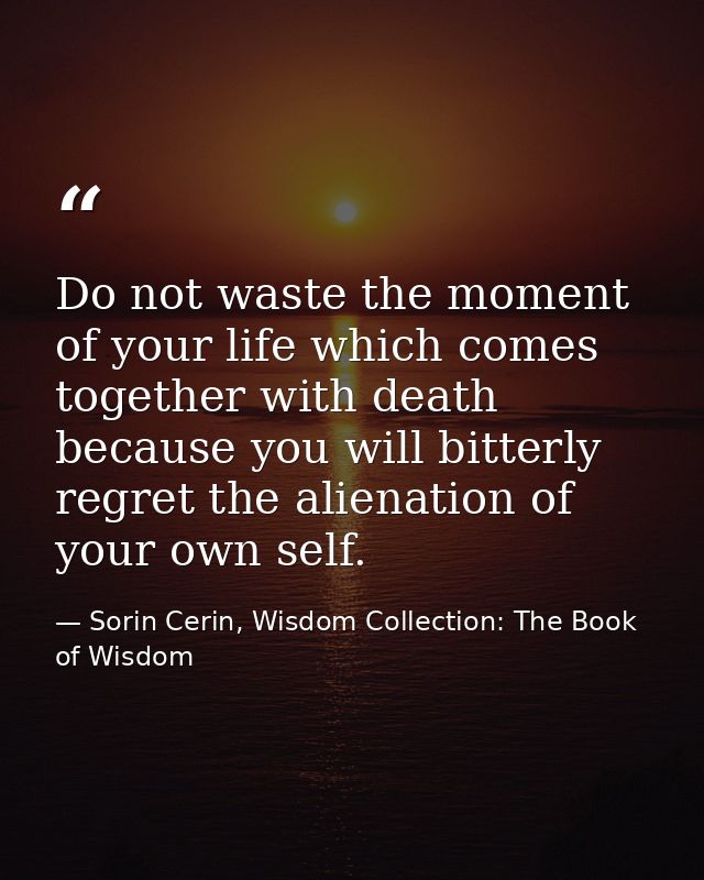 Do not waste the moment of your life which comes together with death because you will bitterly regret the alienation of  — Sorin Cerin, Wisdom Collection: The Book of Wisdom