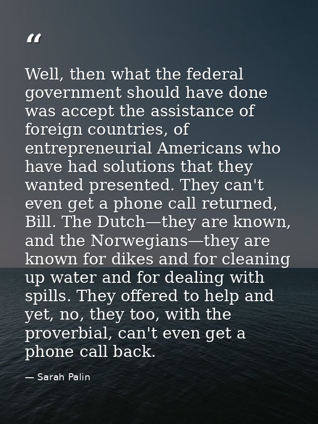 Well, then what the federal government should have done was accept the assistance of foreign countries, of entrepreneuri — Sarah Palin