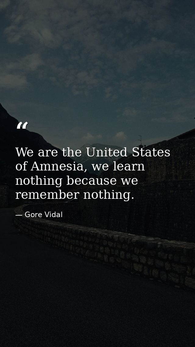 We are the United States of Amnesia, we learn nothing because we remember nothing. — Gore Vidal
