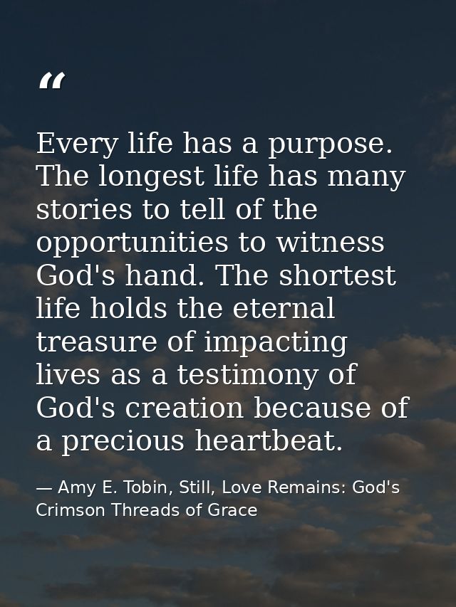 Every life has a purpose. The longest life has many stories to tell of the opportunities to witness God's hand. The shor — Amy E. Tobin, Still, Love Remains: God's Crimson Threads of Grace