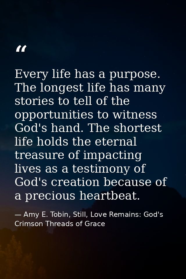 Every life has a purpose. The longest life has many stories to tell of the opportunities to witness God's hand. The shor — Amy E. Tobin, Still, Love Remains: God's Crimson Threads of Grace