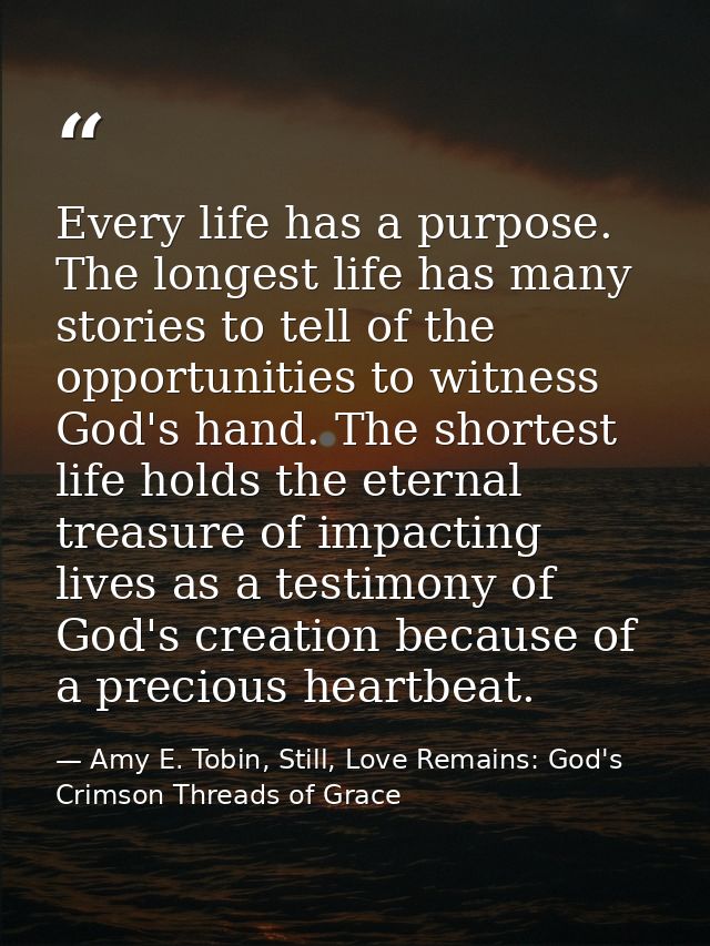 Every life has a purpose. The longest life has many stories to tell of the opportunities to witness God's hand. The shor — Amy E. Tobin, Still, Love Remains: God's Crimson Threads of Grace