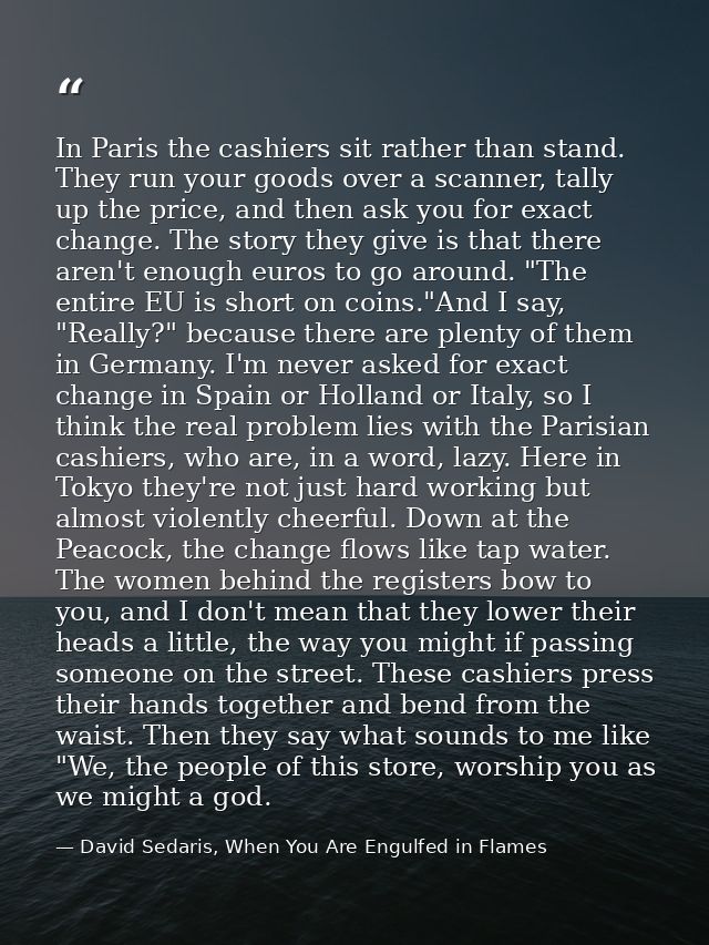 In Paris the cashiers sit rather than stand. They run your goods over a scanner, tally up the price, and then ask you fo — David Sedaris, When You Are Engulfed in Flames